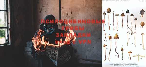 крисы Зерноград