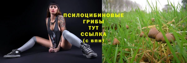 мдпв Зеленокумск