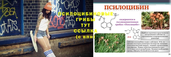 крисы Зерноград