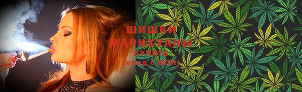 apvp Инта