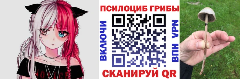 Купить закладки  Дубна  Галлюциногенные грибы GOLDEN TEACHER 